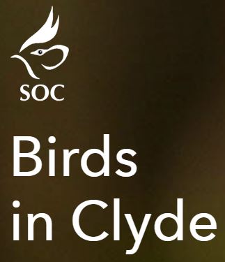 Scottish Ornithologists' Club Clyde Branch